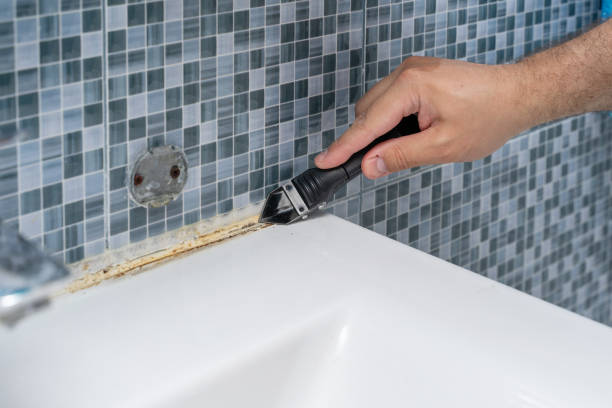 Best Mold Damage Repair  in Watertown Town, MA