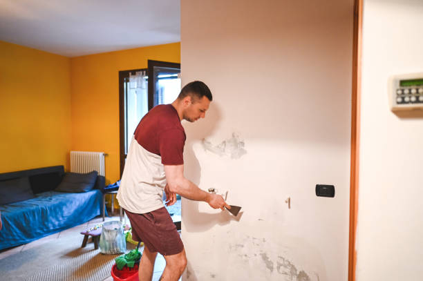 Best Attic Mold Removal  in Watertown Town, MA